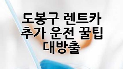 도봉구 렌트카 추가 운전, 꿀팁 대방출! 🚗💨
